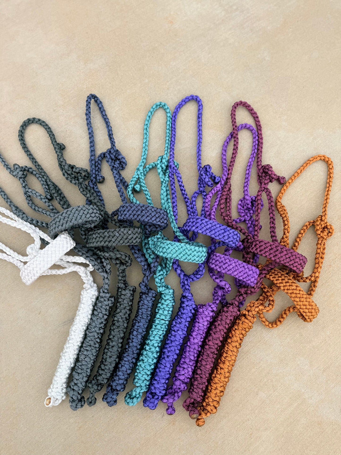 *One Color Mule Tape Halter + Lead