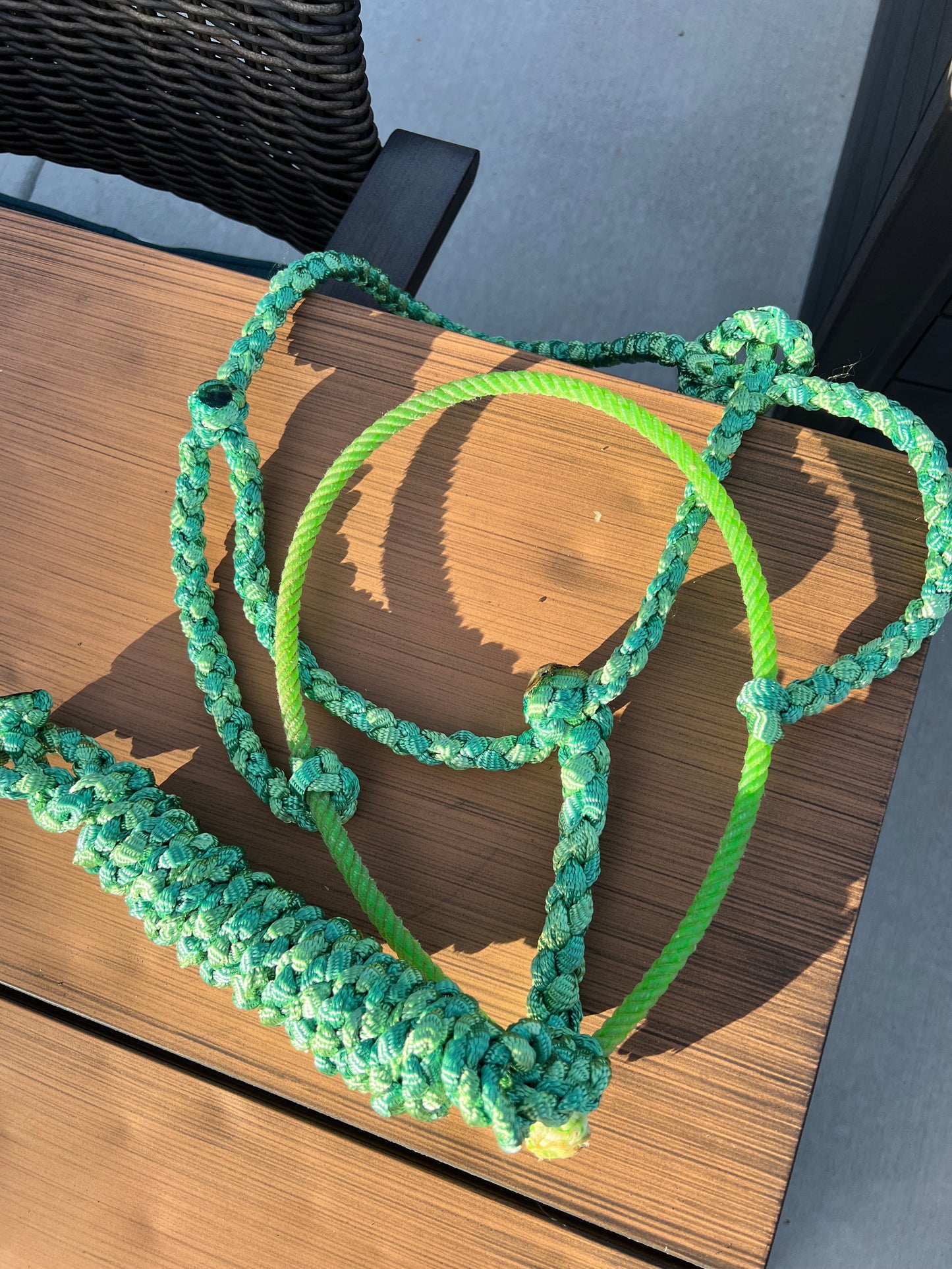 *Lariat Mule Tape Halter + Lead