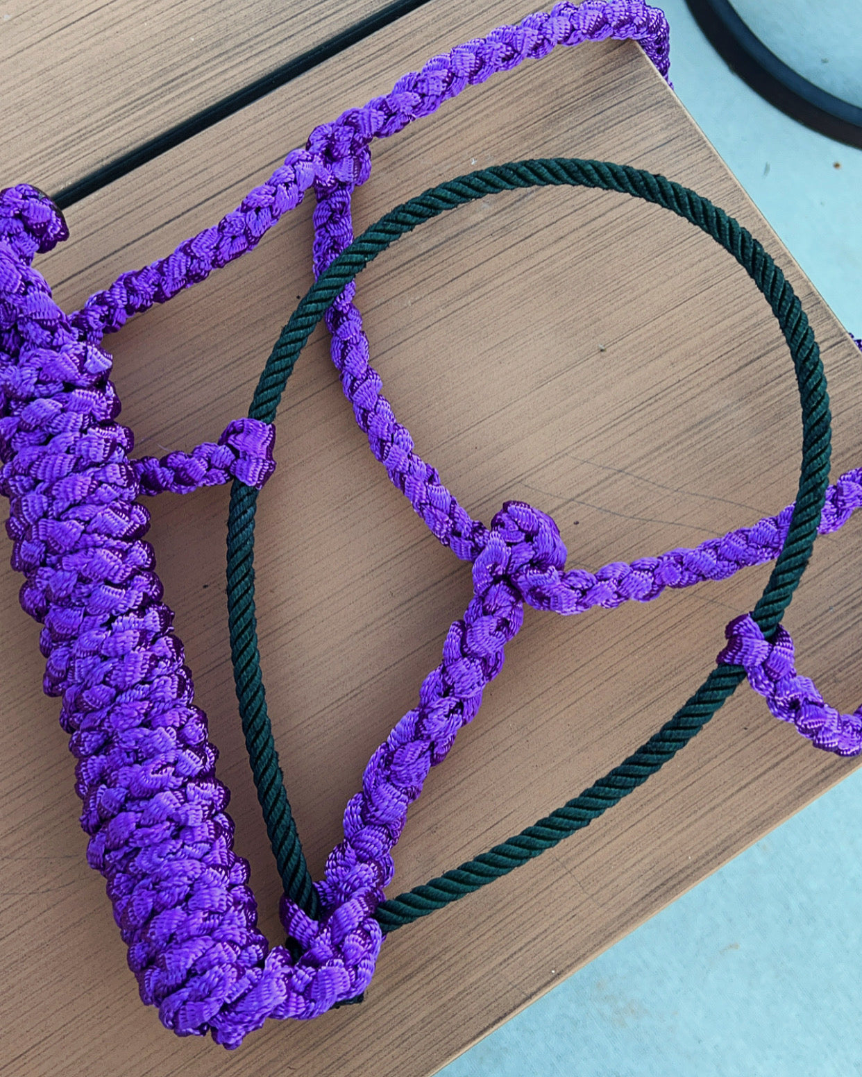 Lariat Mule Tape Halter + Lead