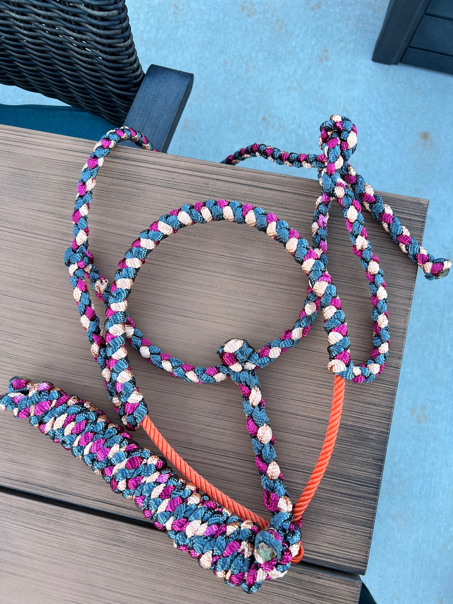 Lariat Mule Tape Halter + Lead (braided nose)