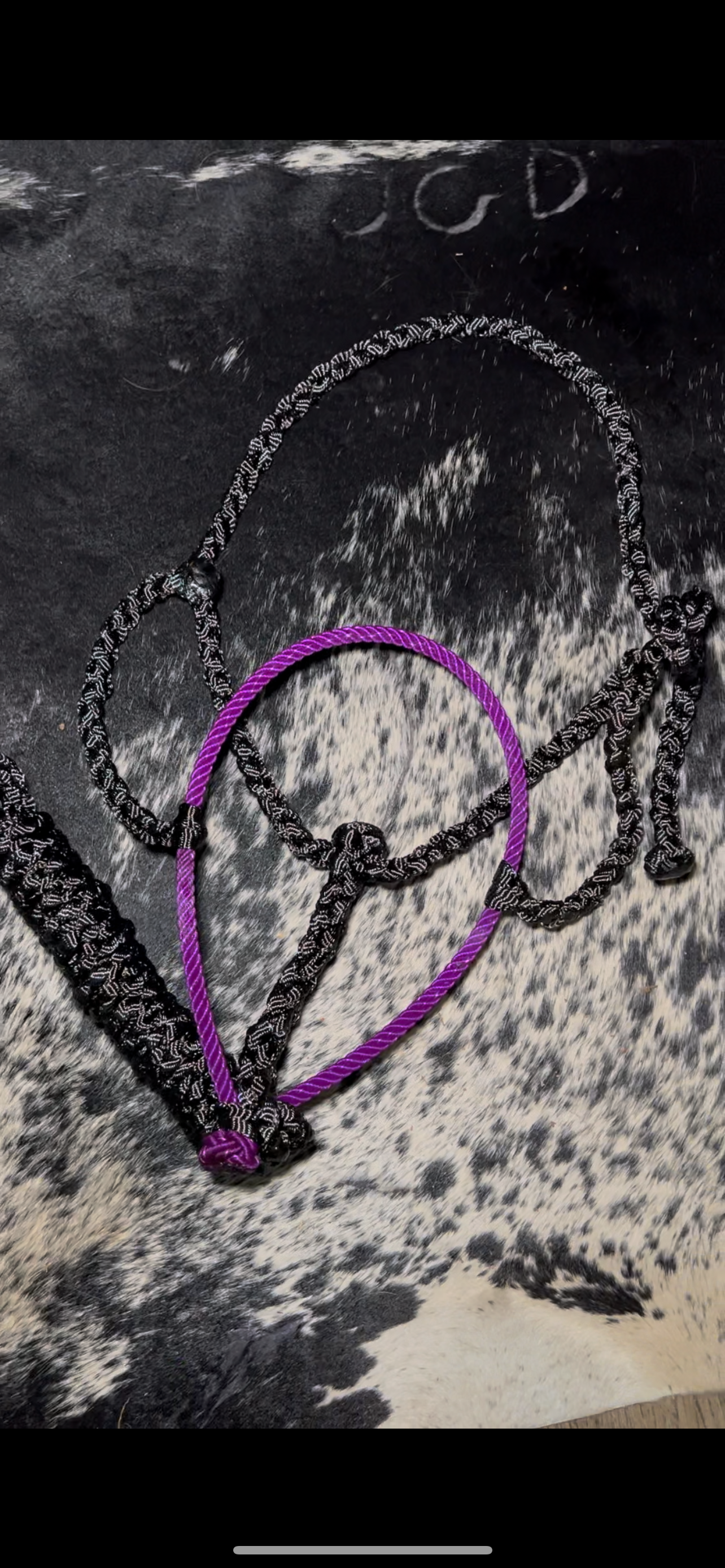 Lariat Mule Tape Halter + Lead