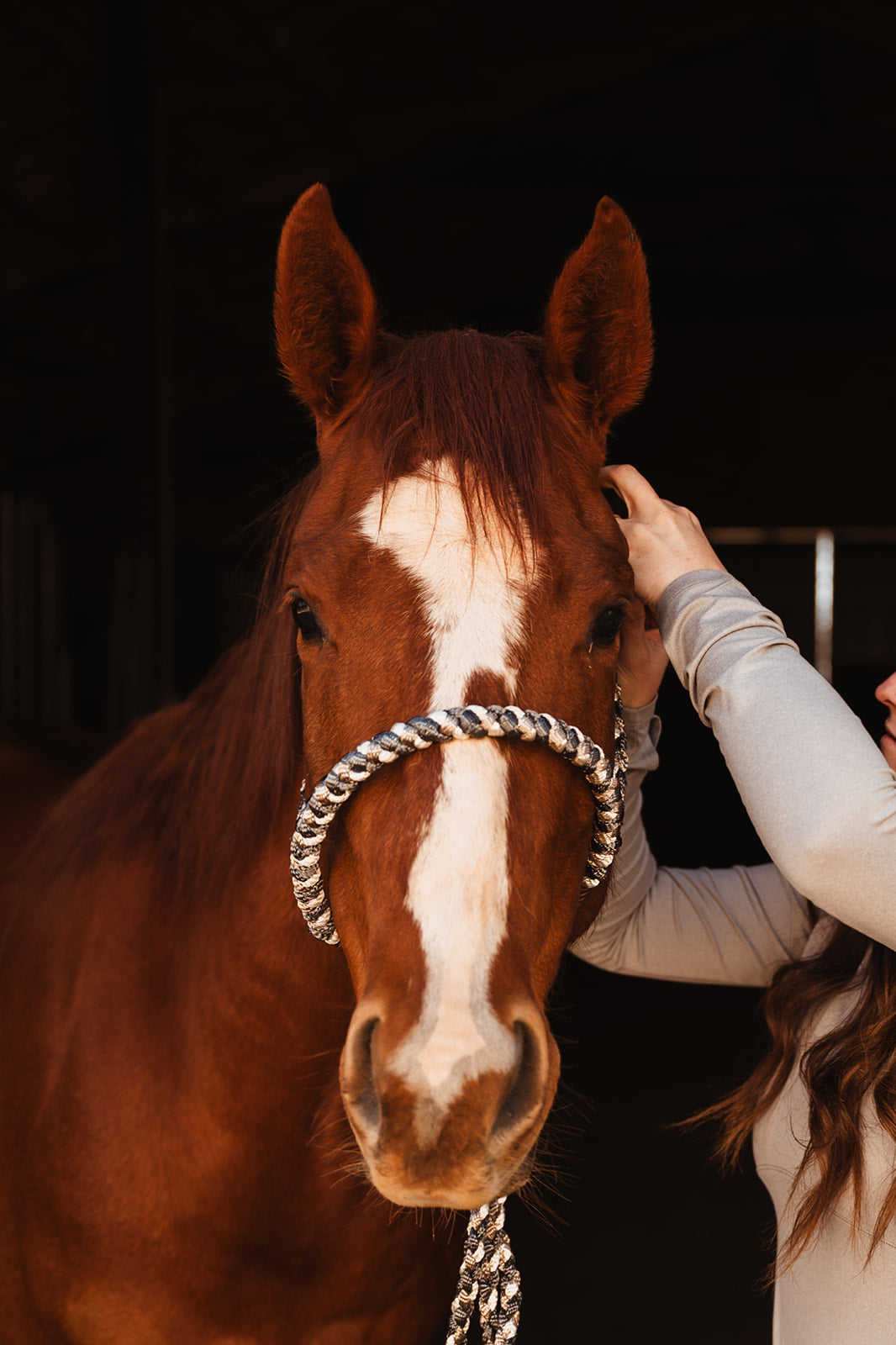 Lariat Mule Tape Halter + Lead (braided nose)