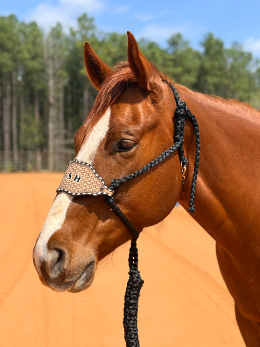 *Custom Bronc Nose Mule Tape Halter + Lead