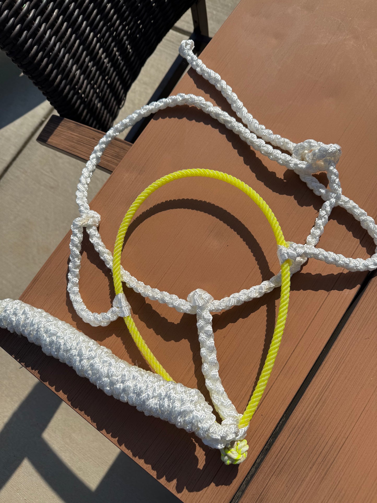 IN STOCK Mule Tape Halter + Lead