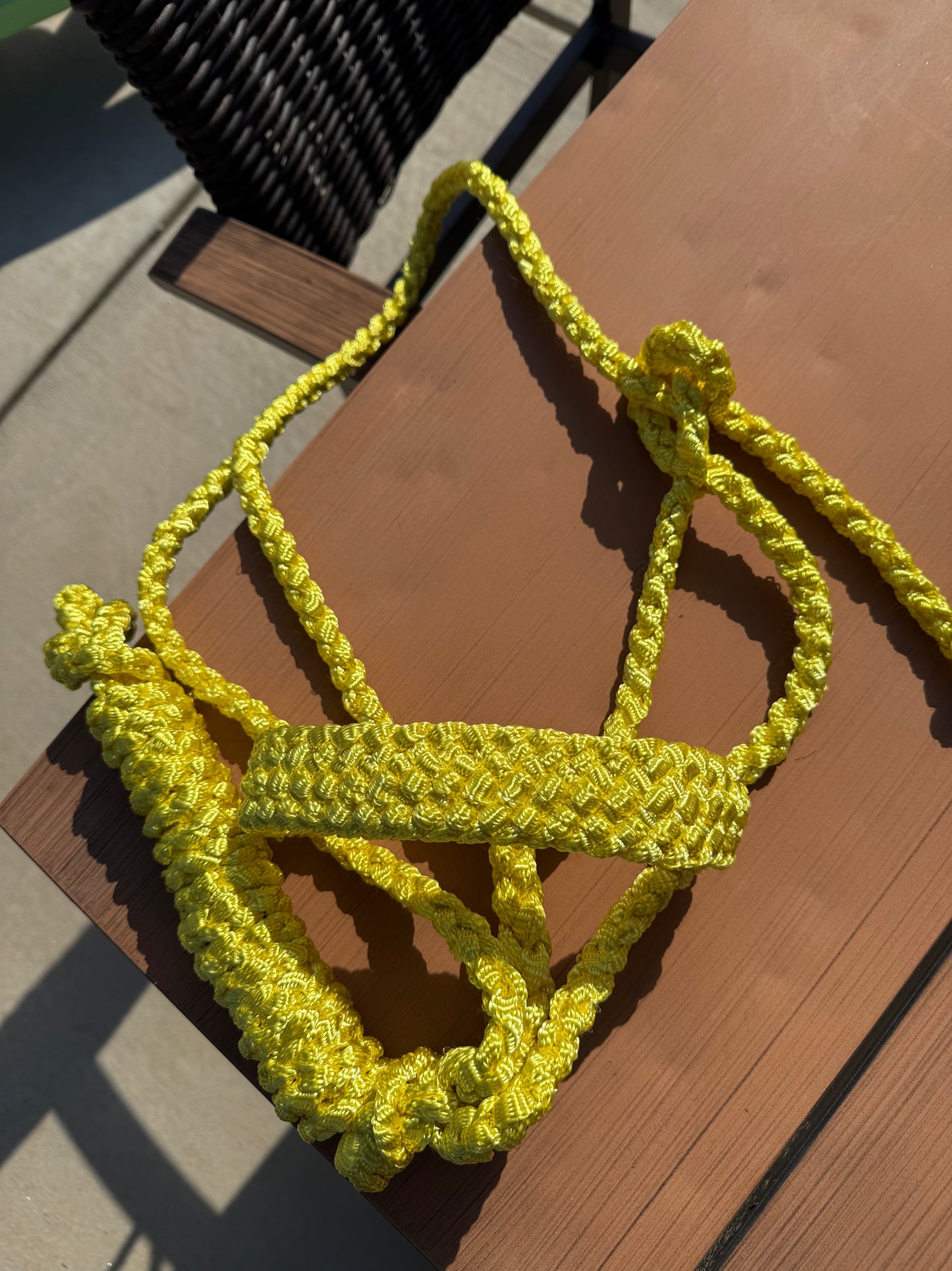 IN STOCK Mule Tape Halter + Lead