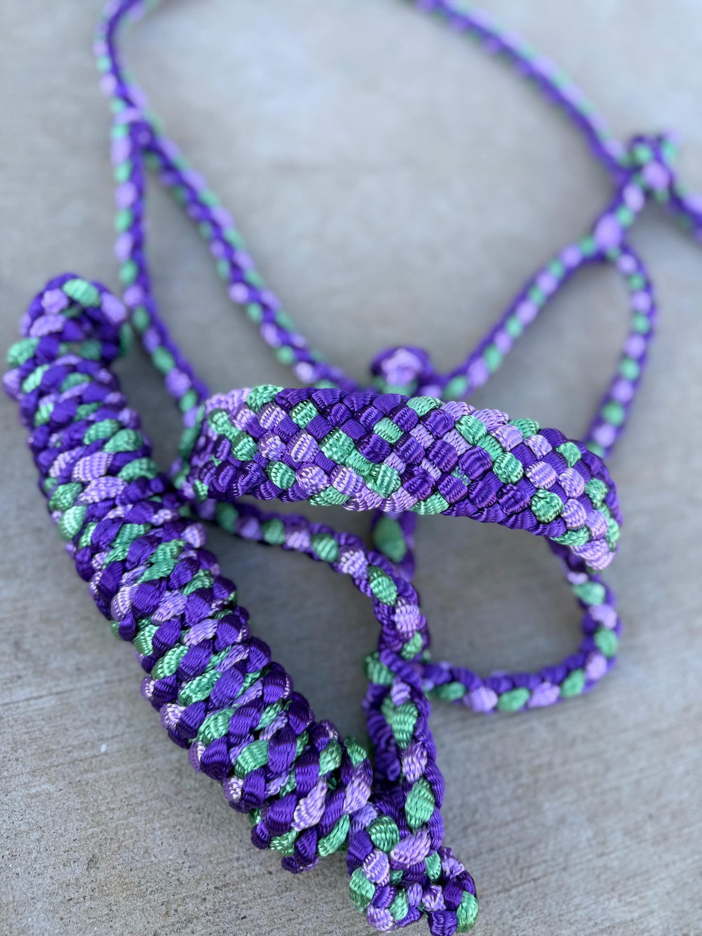 3 + 4 Color Mule Tape Halter + Lead