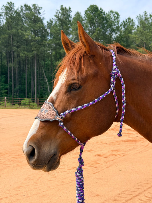 *Custom Bronc Nose Mule Tape Halter + Lead