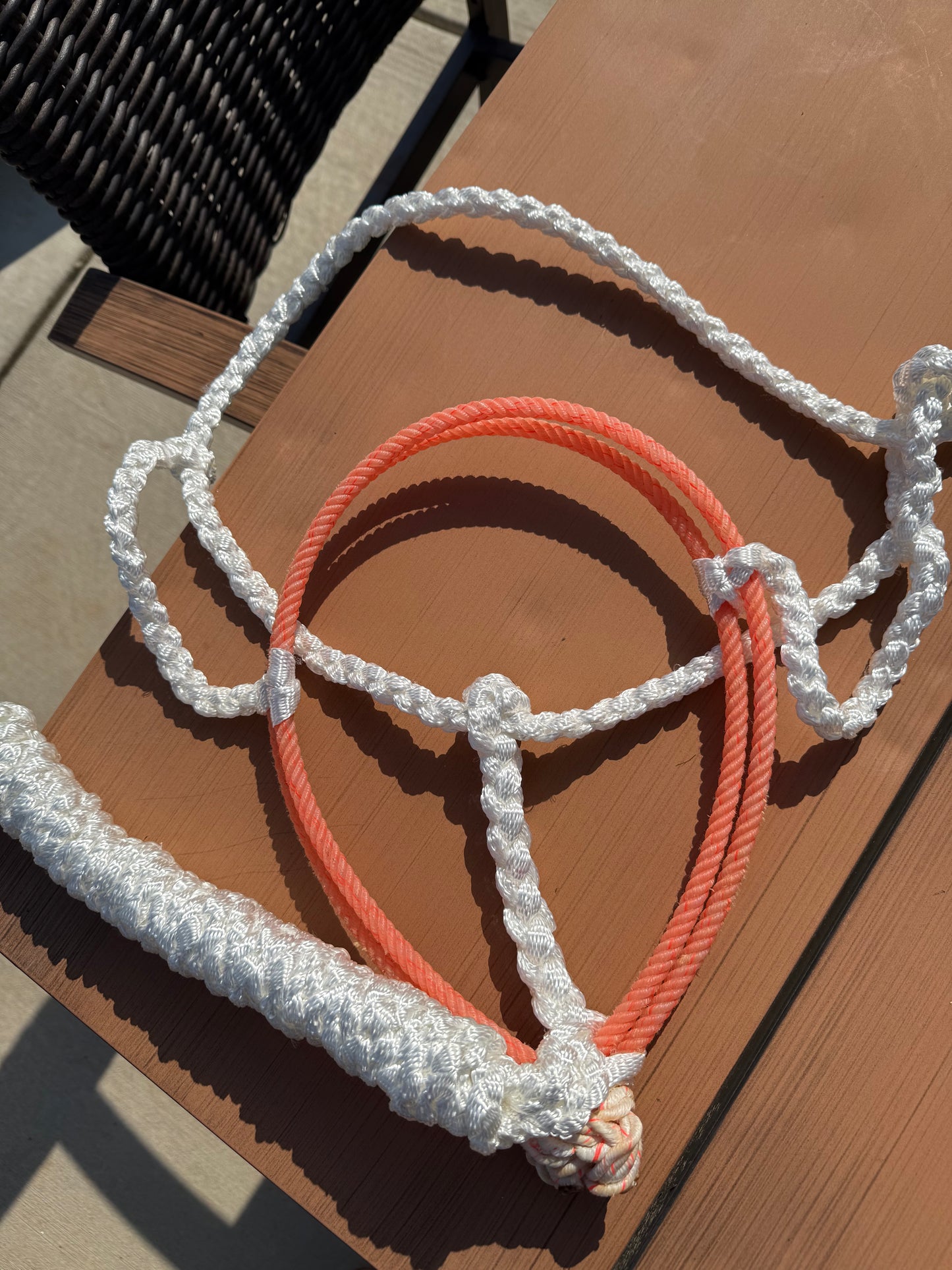 IN STOCK Mule Tape Halter + Lead