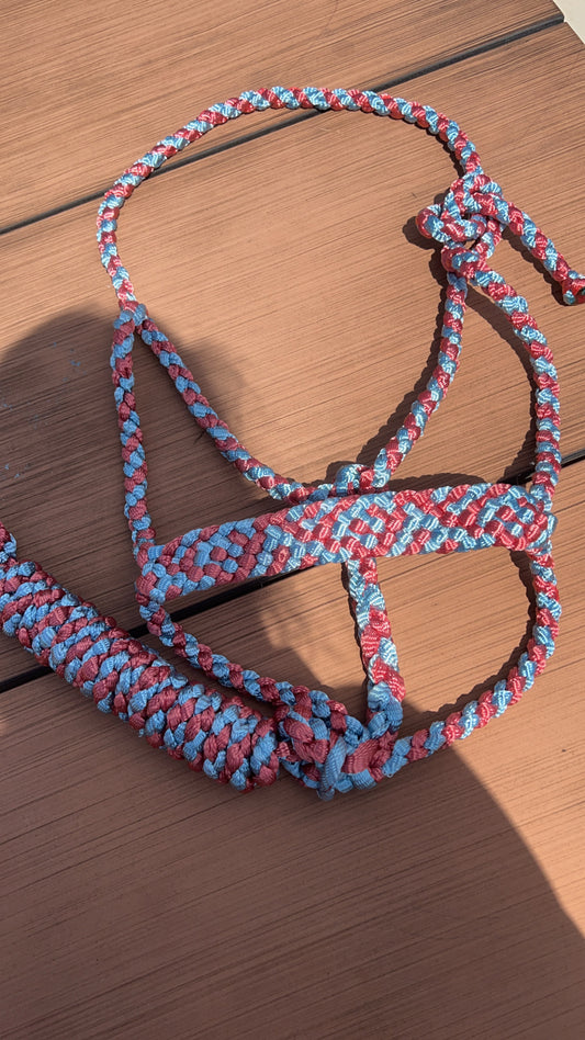 Two Color Mule Tape Halter + Lead