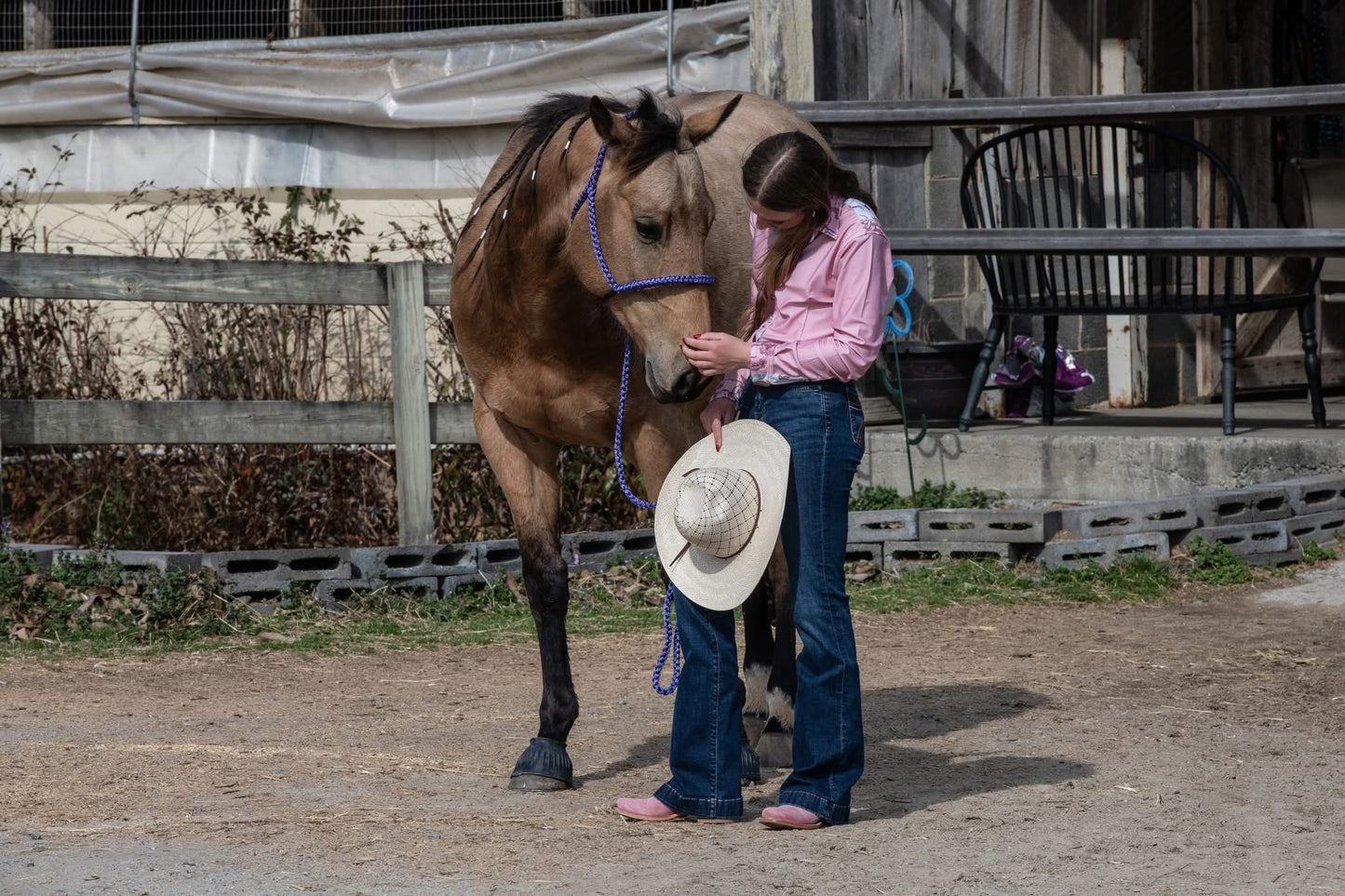 *Lariat Mule Tape Halter + Lead (braided nose)
