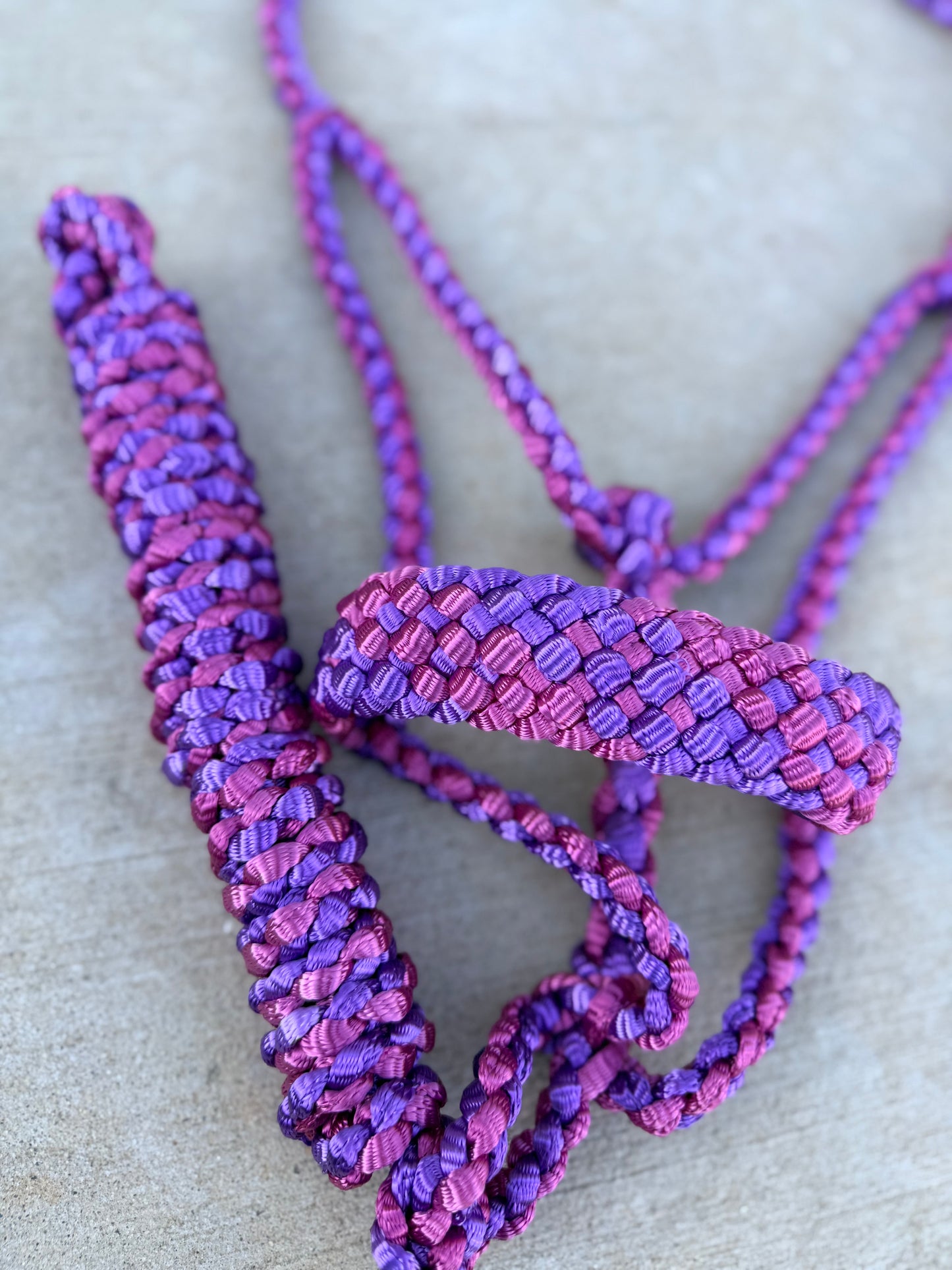 Quick Snap 2 Color Mule Tape Halter + Lead