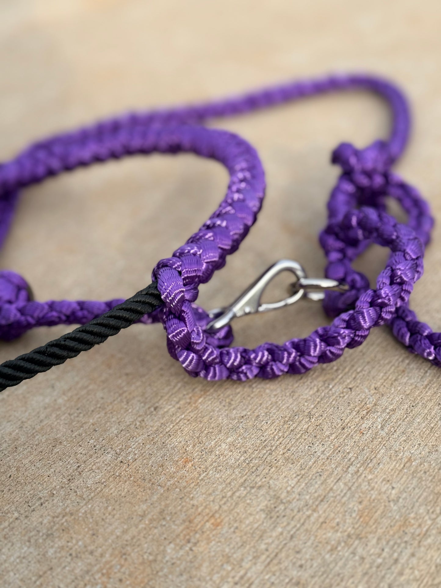 Quick Snap Lariat Mule Tape Halter + Lead