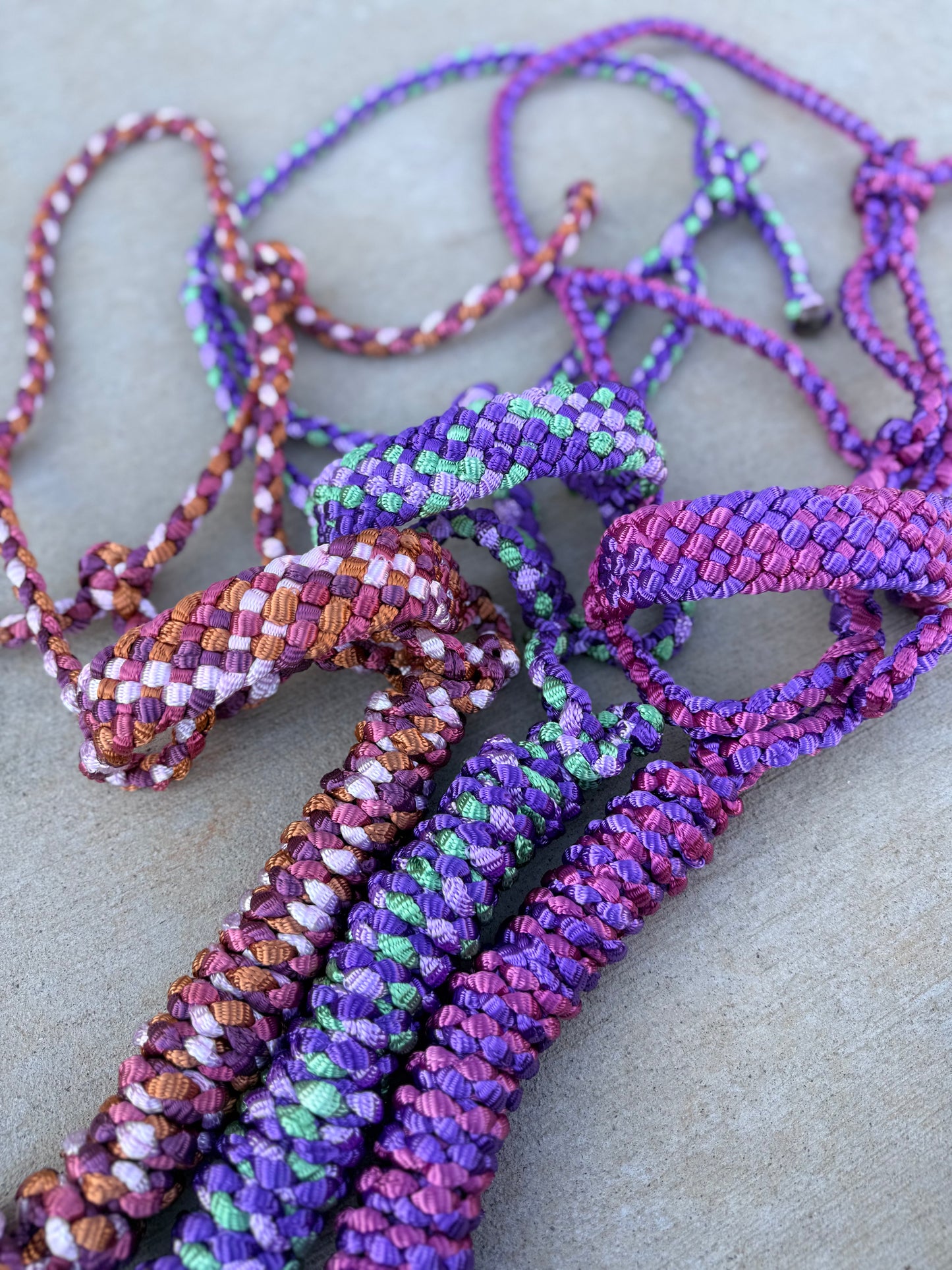 3 + 4 Color Mule Tape Halter + Lead