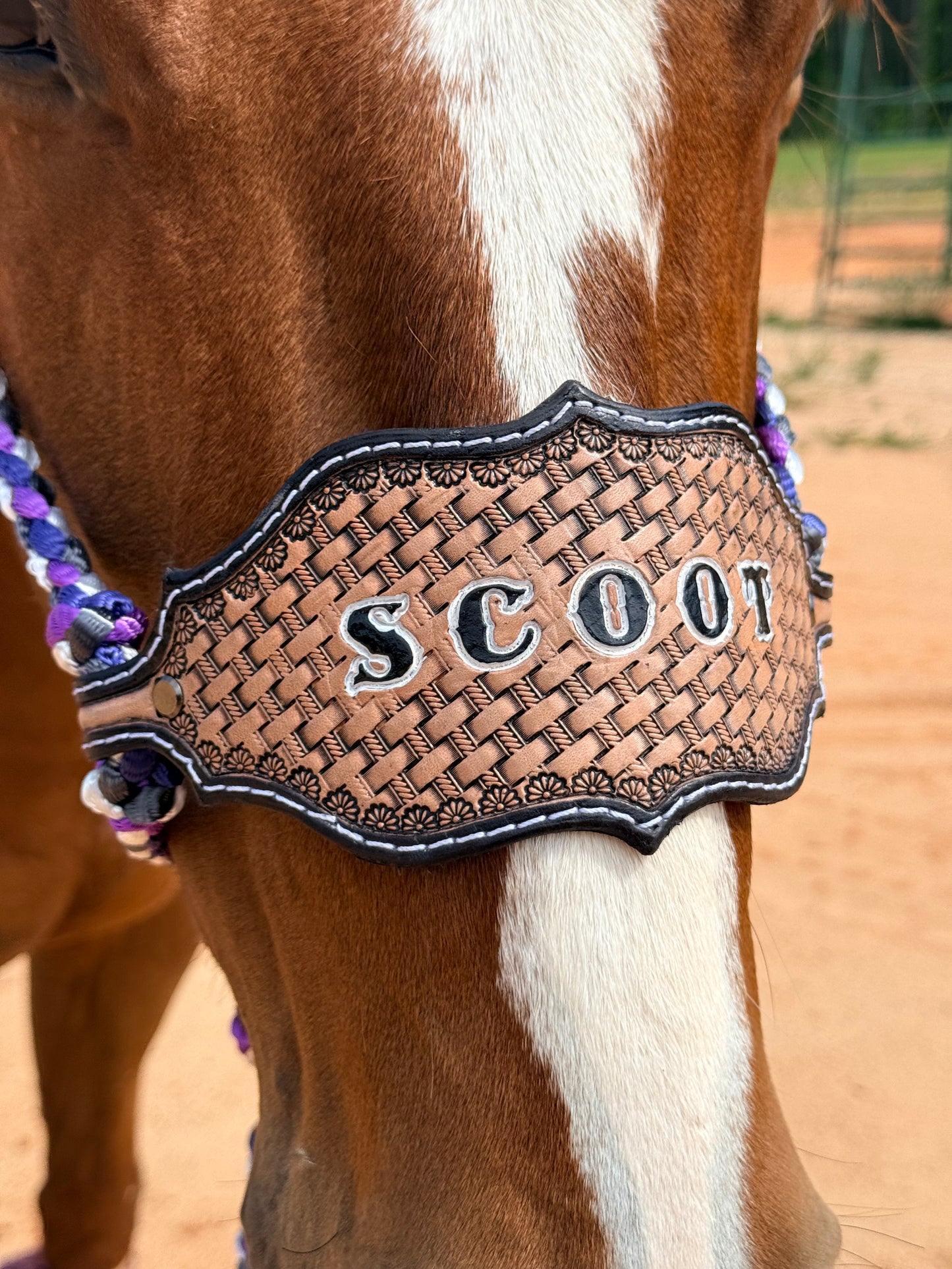 *Custom Bronc Nose Mule Tape Halter + Lead