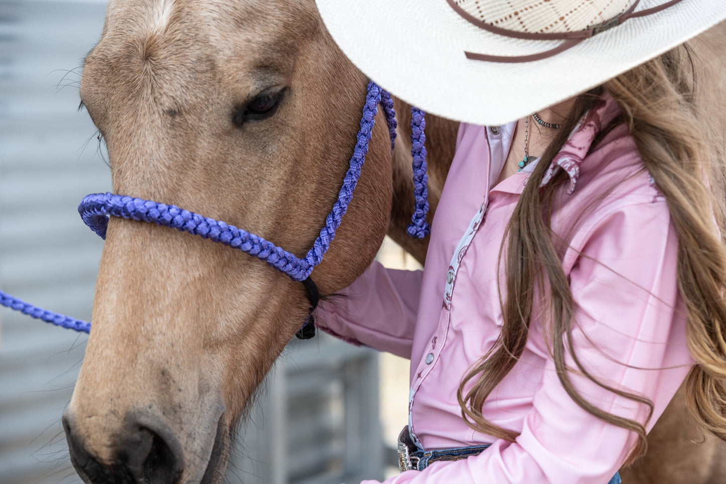 *Lariat Mule Tape Halter + Lead (braided nose)