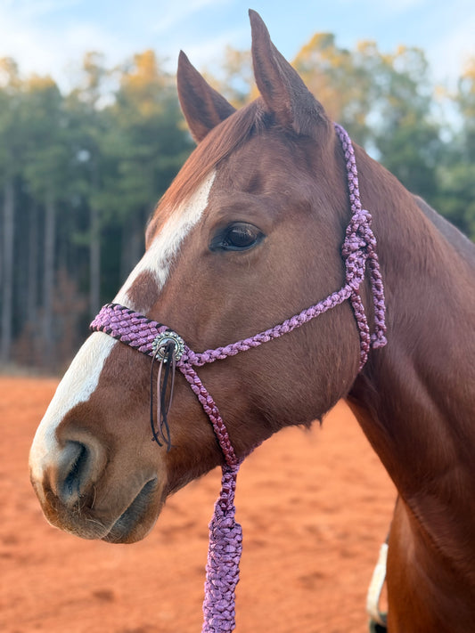 Merlot Mule Tape Halter + Conchos + Leather Fringe