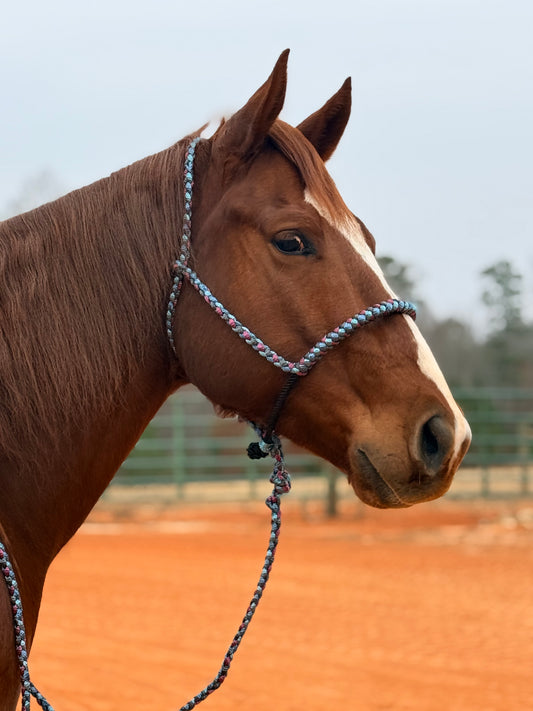 Quick Snap Lariat Mule Tape Halter + Lead (braided nose)
