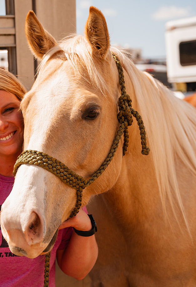 *One Color Mule Tape Halter + Lead