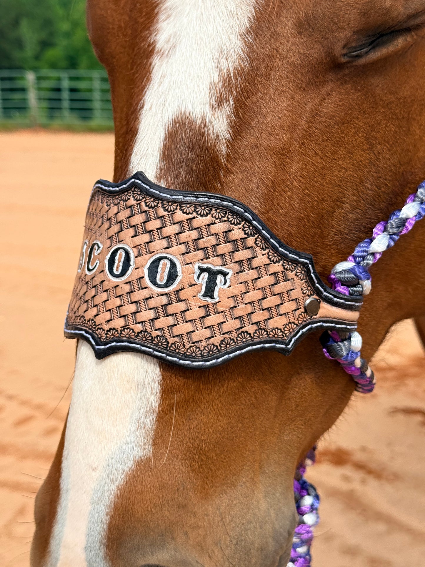 *Custom Bronc Nose Mule Tape Halter + Lead