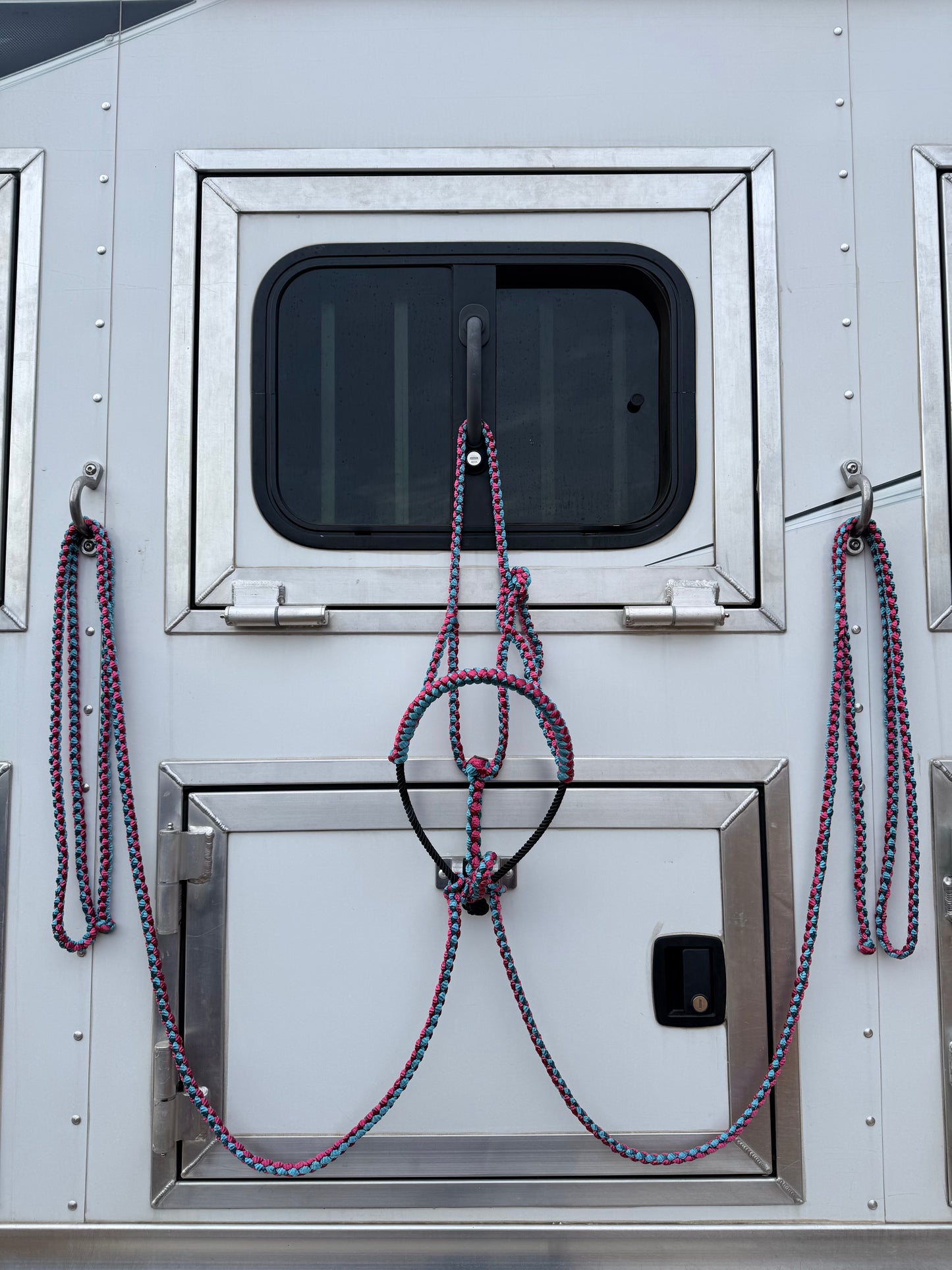 Mule Tape Loping Halter