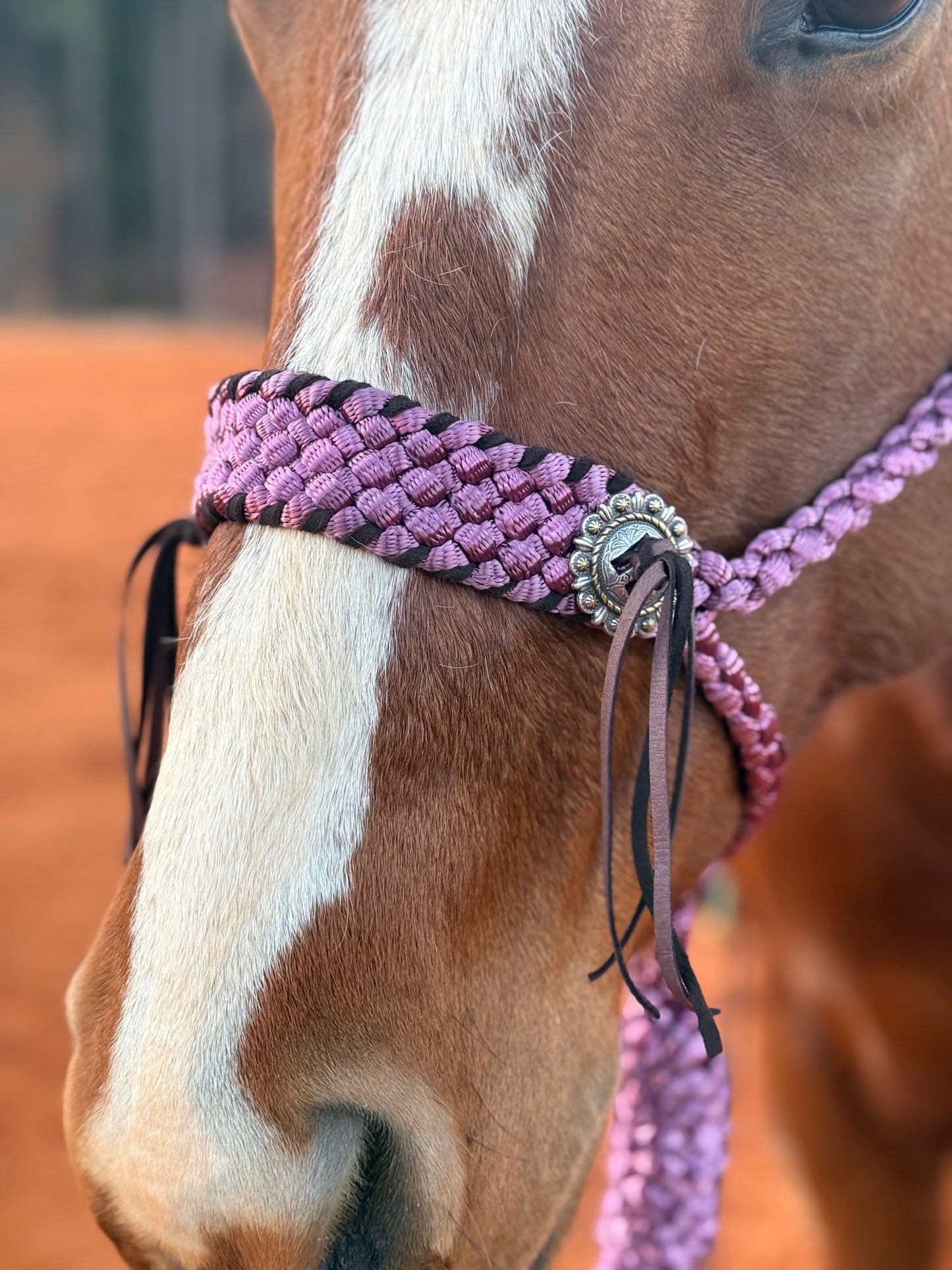 Merlot Mule Tape Halter + Conchos + Leather Fringe