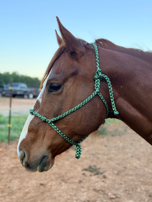 Knotty Nose Mule Tape Halter