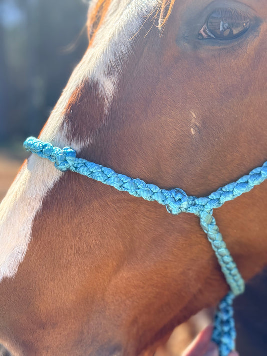 Knotty Nose Mule Tape Halter