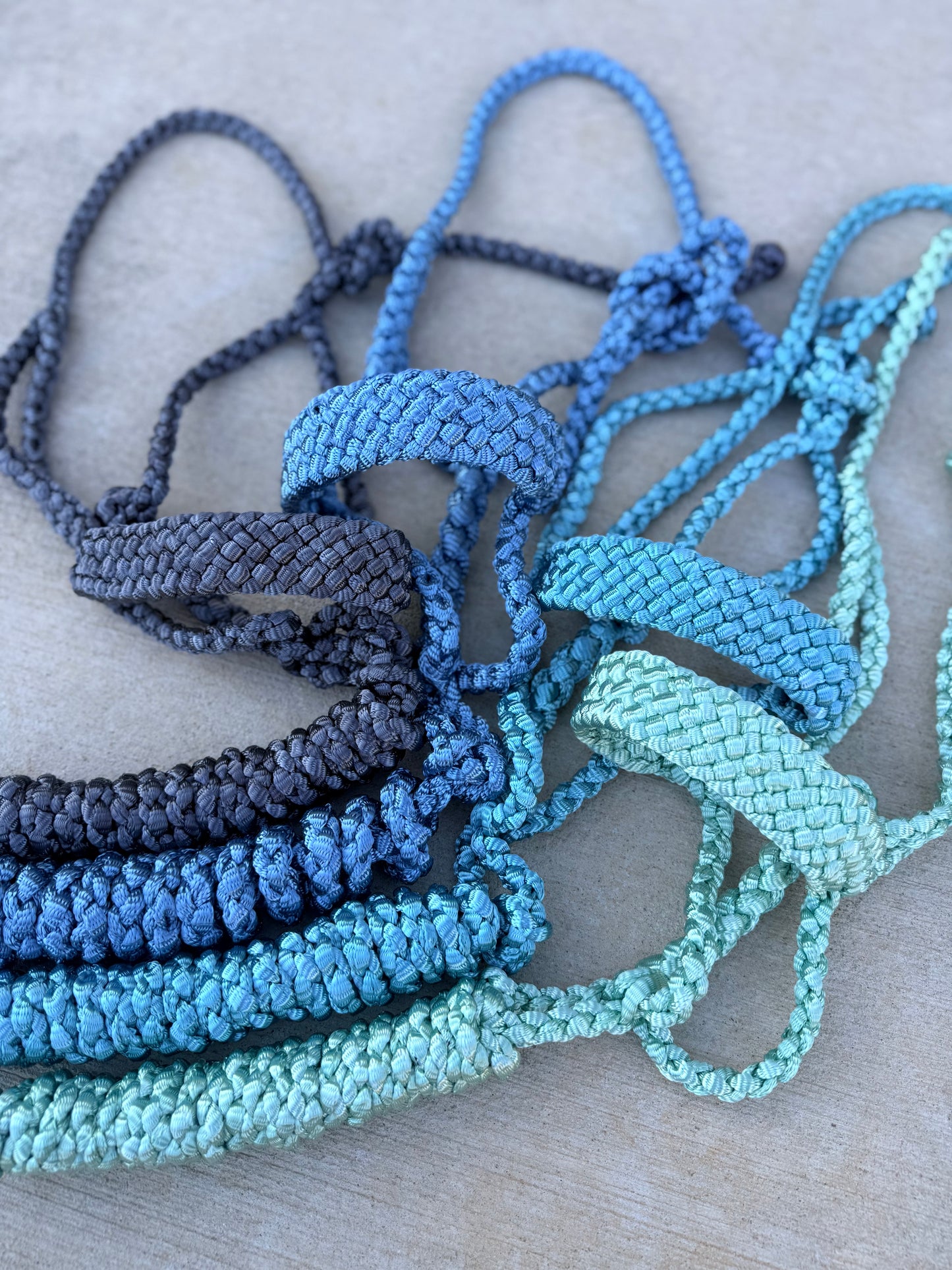 Quick Snap One Color Mule Tape Halter + Lead